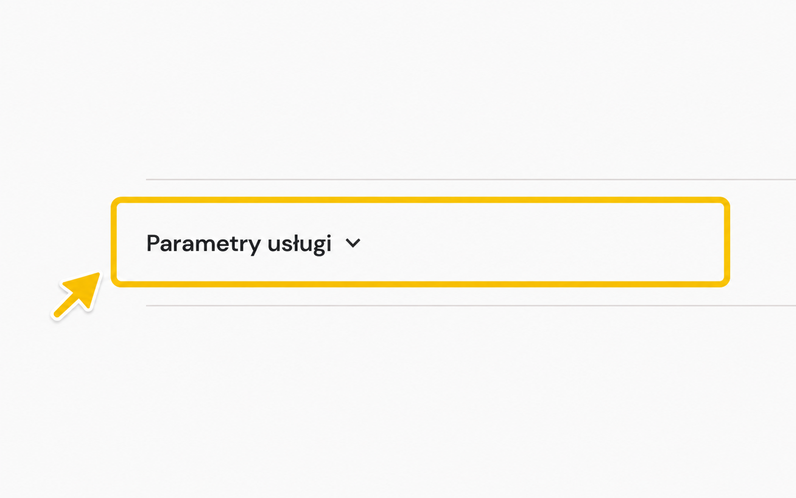 Rozwiń „Parametry usługi”, aby znaleźć klucz API.